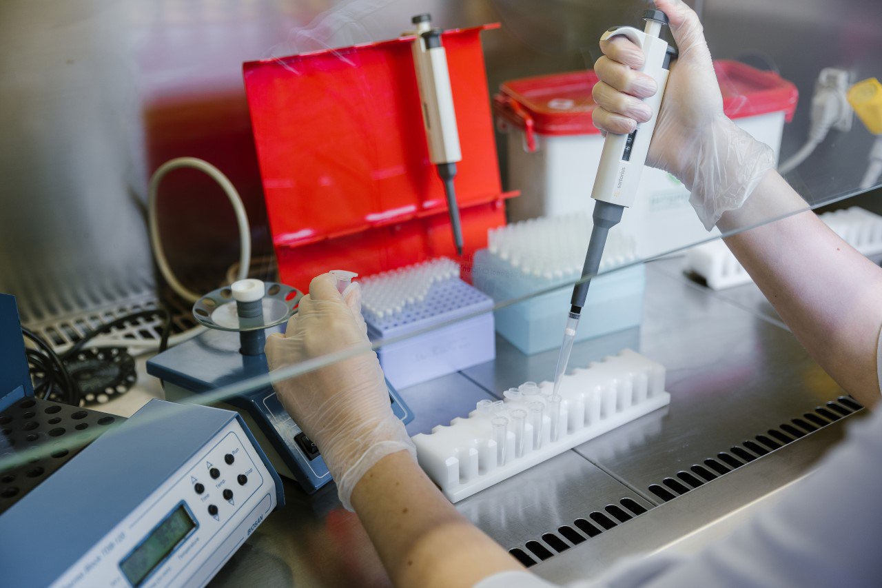 Що показує біохімічний аналіз крові?